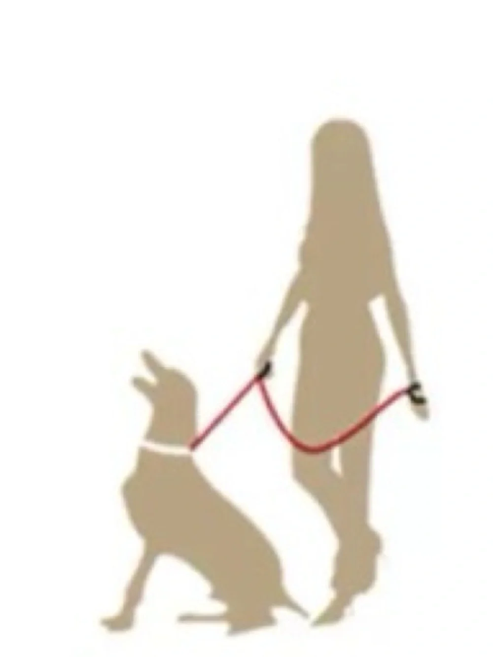 New Heavy Duty Dog Leash with Padded Handle
